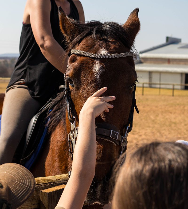 rusty-web image-portrait03