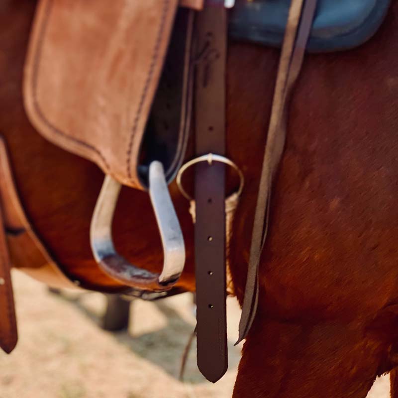 square-800x800-web-images21