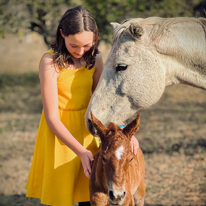 square-800x800-web-images28